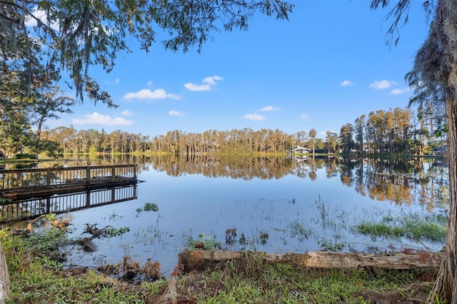 dock area with a water view