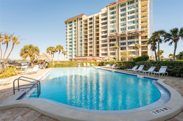 view of pool featuring a patio