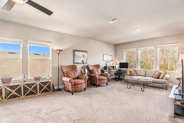 living room with carpet, a healthy amount of sunlight, and a textured ceiling