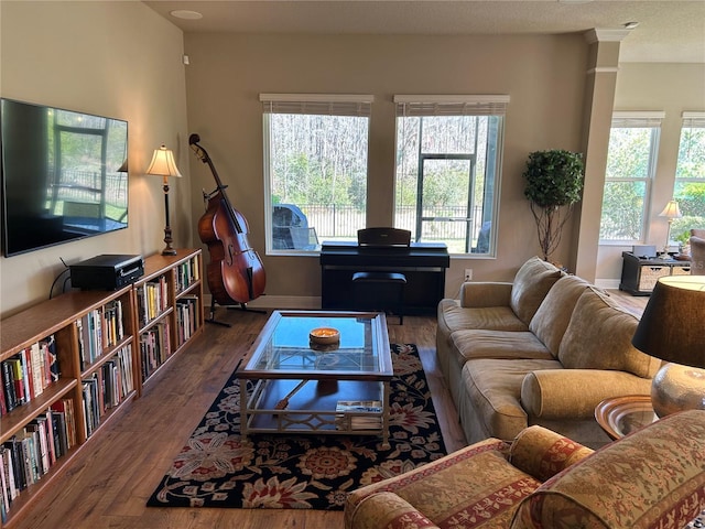 living room with wood finished floors