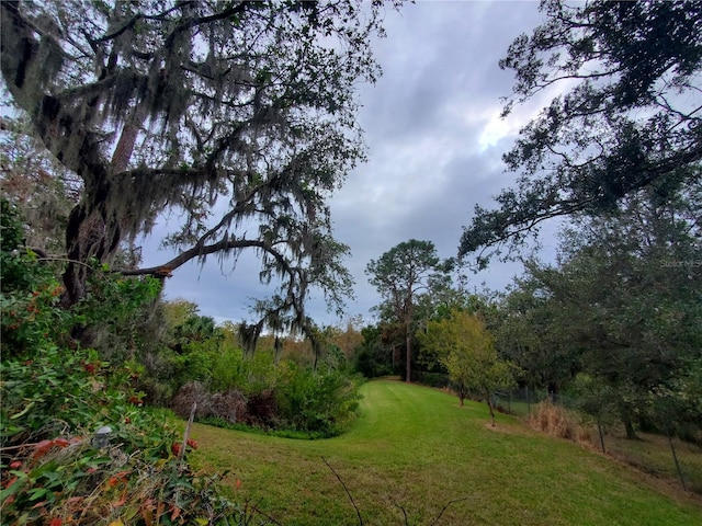 2044 Rainbow Farms Dr, Safety Harbor, FL 34695