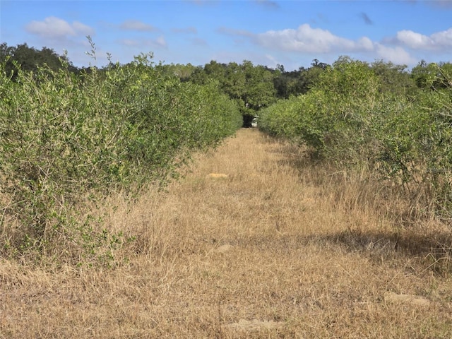 view of landscape