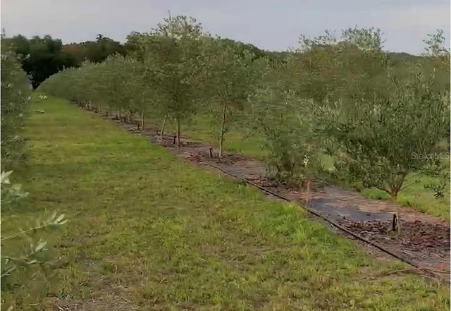 exterior space featuring a rural view