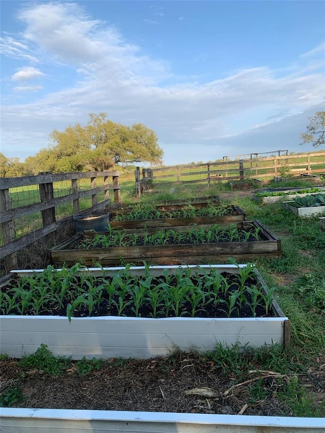 exterior space featuring a rural view, fence, and a vegetable garden