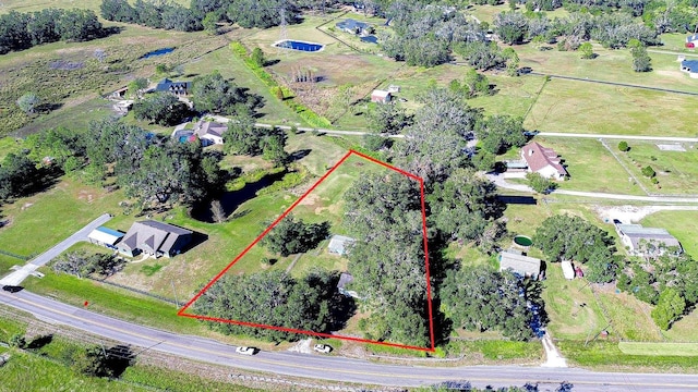 1406 E Knights Griffin Rd, Plant City, FL 33565 - photo 3