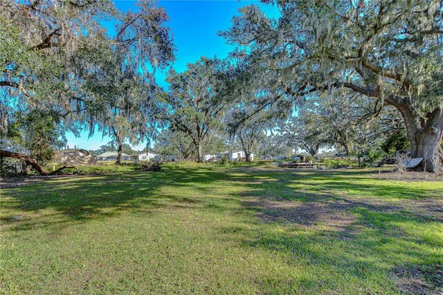 1406 E Knights Griffin Rd, Plant City, FL 33565 - photo 8