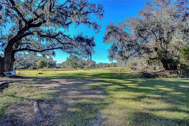 1406 E Knights Griffin Rd, Plant City, FL 33565 - photo 9