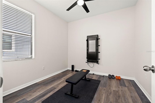 exercise area featuring dark wood-type flooring and ceiling fan