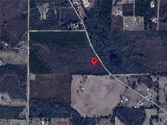 Bethlehem Rd, Cottondale, FL 32431 - photo 51