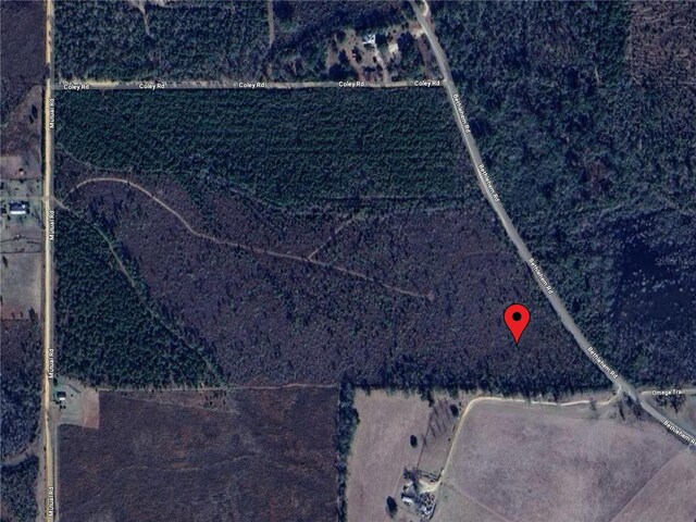 Bethlehem Rd, Cottondale, FL 32431 - photo 52