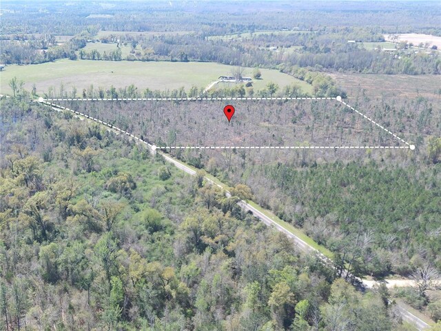 Bethlehem Rd, Cottondale, FL 32431 - photo 1