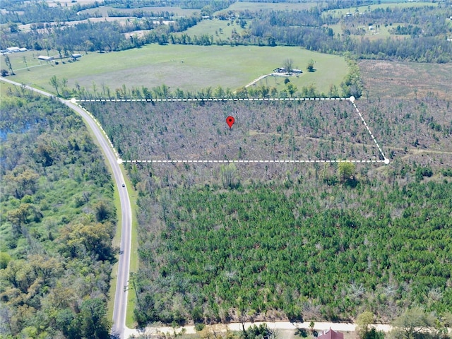 Bethlehem Rd, Cottondale, FL 32431 - photo 2
