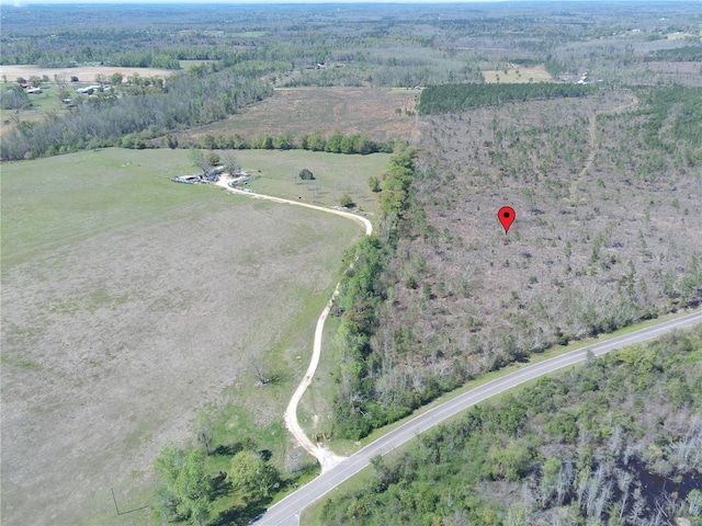 Bethlehem Rd, Cottondale, FL 32431 - photo 3