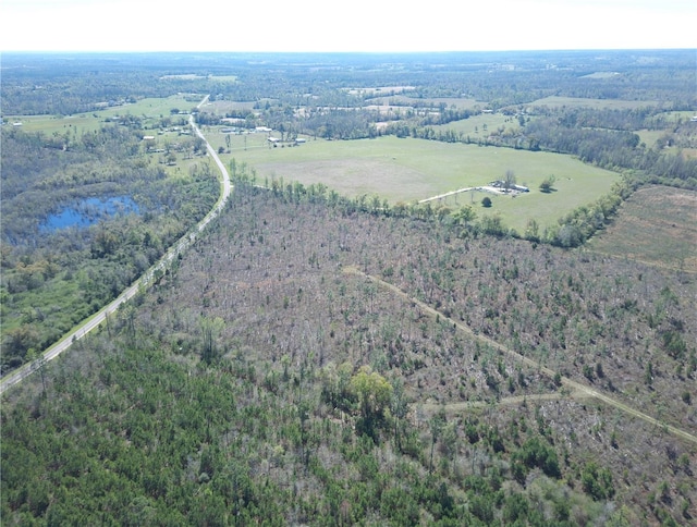 Bethlehem Rd, Cottondale, FL 32431 - photo 4