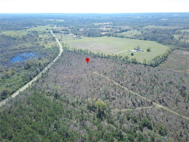 Bethlehem Rd, Cottondale, FL 32431 - photo 5