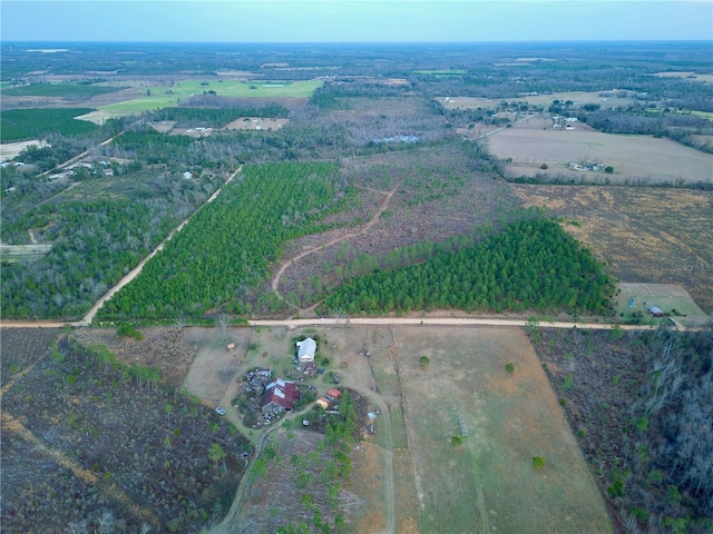 Bethlehem Rd, Cottondale, FL 32431 - photo 6