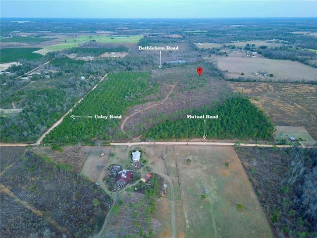 Bethlehem Rd, Cottondale, FL 32431 - photo 7