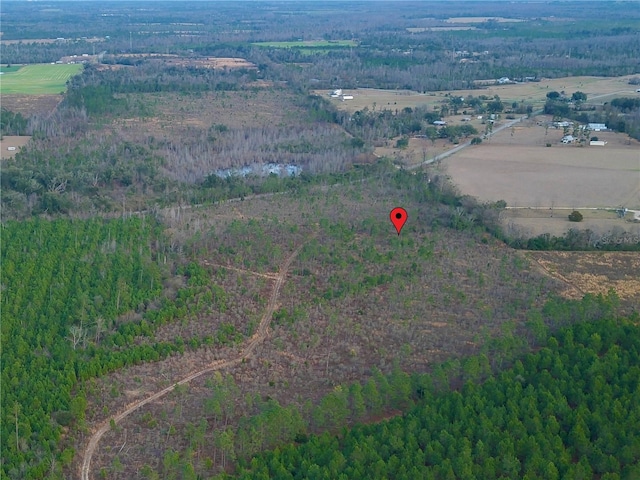 Bethlehem Rd, Cottondale, FL 32431 - photo 8