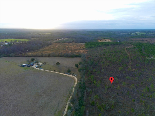 Bethlehem Rd, Cottondale, FL 32431 - photo 9