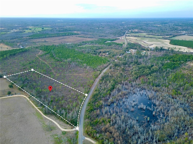 Bethlehem Rd, Cottondale, FL 32431 - photo 10
