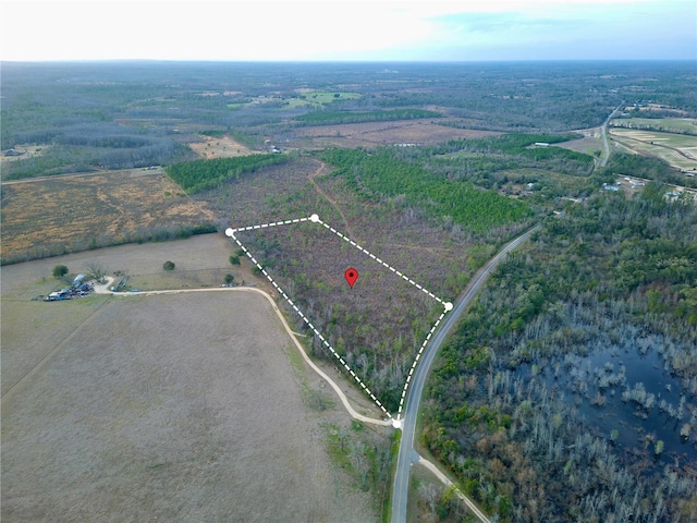 Bethlehem Rd, Cottondale, FL 32431 - photo 11