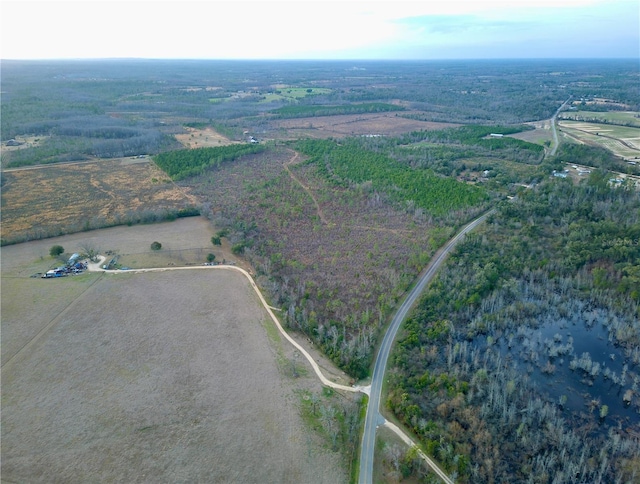 Bethlehem Rd, Cottondale, FL 32431 - photo 12
