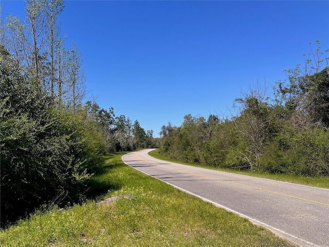 Bethlehem Rd, Cottondale, FL 32431 - photo 14