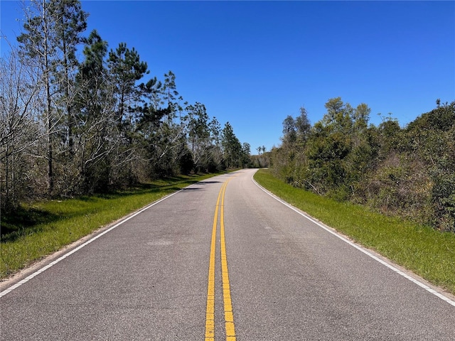 Bethlehem Rd, Cottondale, FL 32431 - photo 15