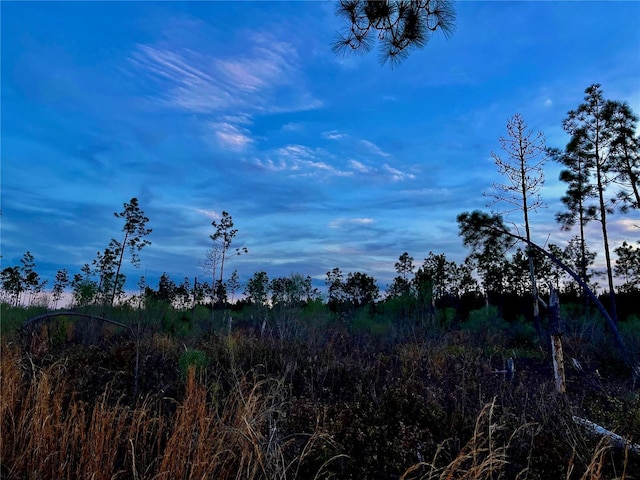 Bethlehem Rd, Cottondale, FL 32431 - photo 17