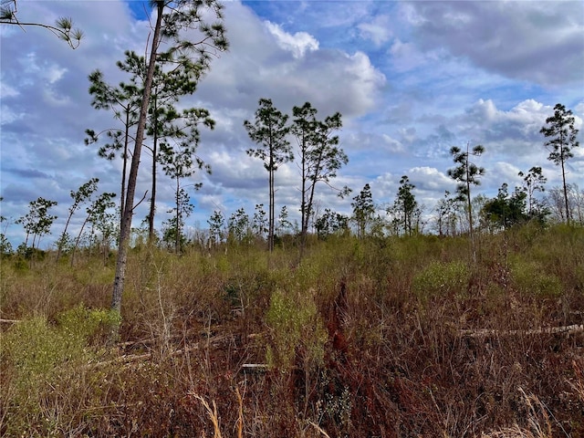 Bethlehem Rd, Cottondale, FL 32431 - photo 20