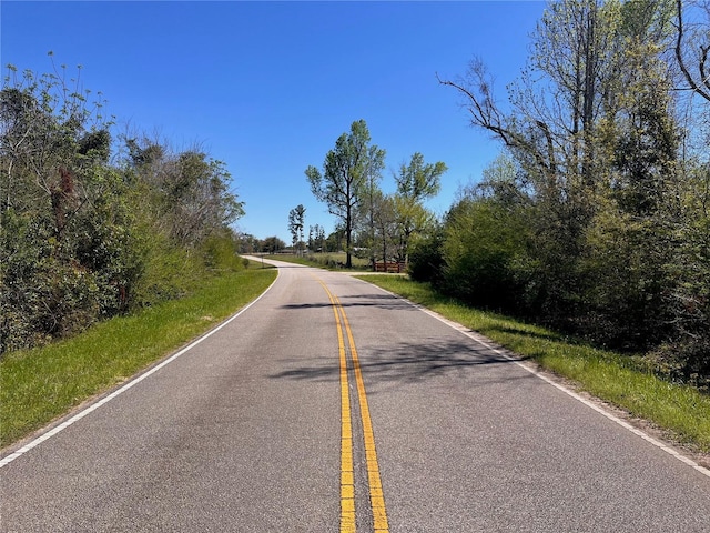 Bethlehem Rd, Cottondale, FL 32431 - photo 24