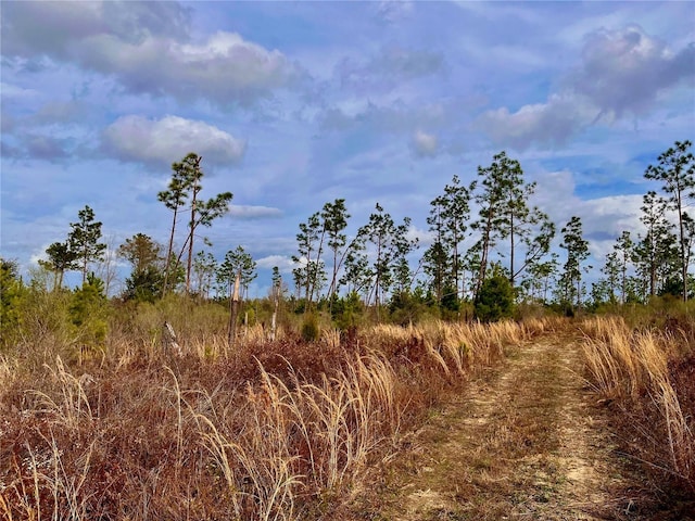 Bethlehem Rd, Cottondale, FL 32431 - photo 27