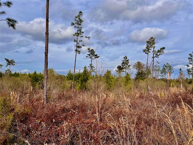 Bethlehem Rd, Cottondale, FL 32431 - photo 28