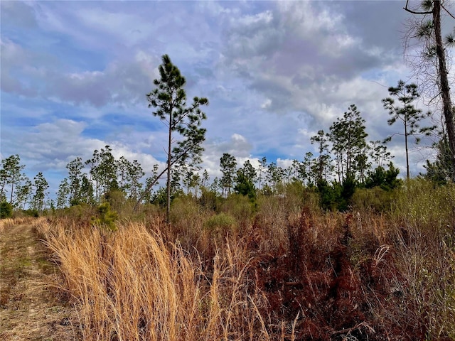 Bethlehem Rd, Cottondale, FL 32431 - photo 30