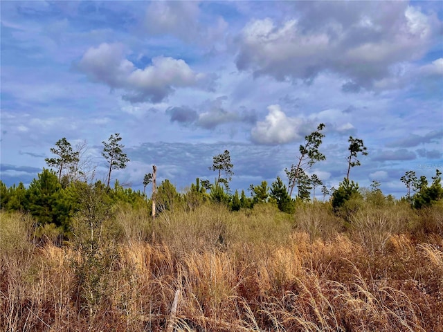 Bethlehem Rd, Cottondale, FL 32431 - photo 36