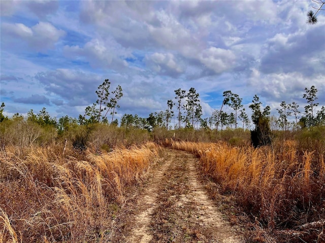 Bethlehem Rd, Cottondale, FL 32431 - photo 37