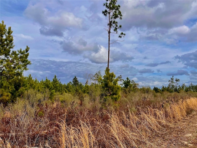 Bethlehem Rd, Cottondale, FL 32431 - photo 38