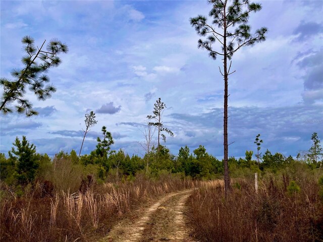 Bethlehem Rd, Cottondale, FL 32431 - photo 39