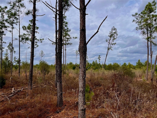 Bethlehem Rd, Cottondale, FL 32431 - photo 46