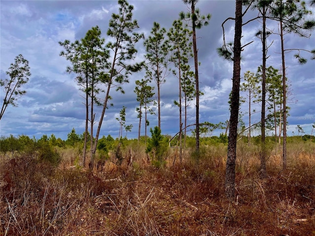 Bethlehem Rd, Cottondale, FL 32431 - photo 47