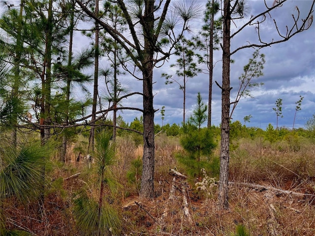 Bethlehem Rd, Cottondale, FL 32431 - photo 48