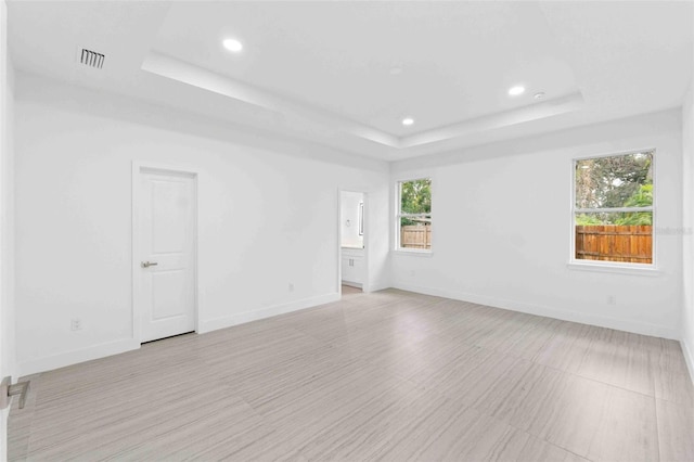 spare room featuring plenty of natural light and a raised ceiling