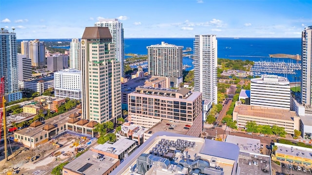 drone / aerial view with a water view