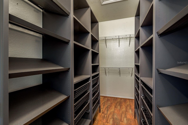 spacious closet featuring dark wood-type flooring