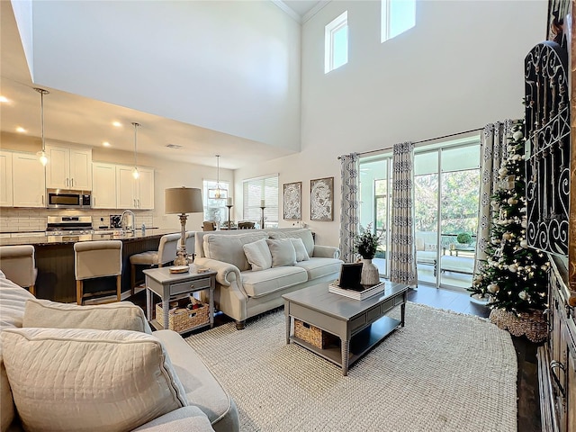 living room with a high ceiling and sink