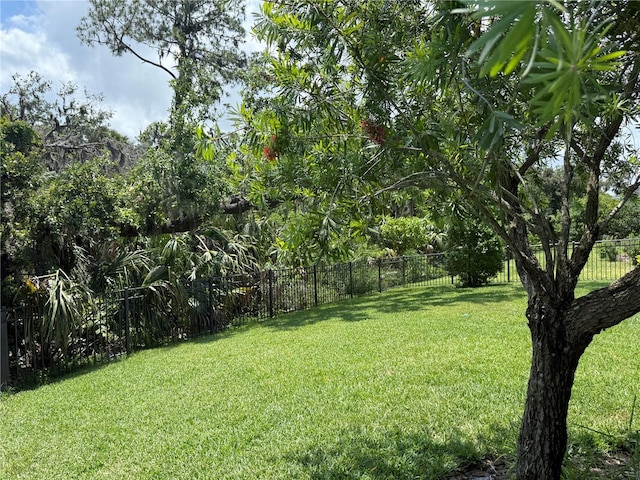 5935 Maidenstone Way, Palmetto, FL 34221 - view of yard