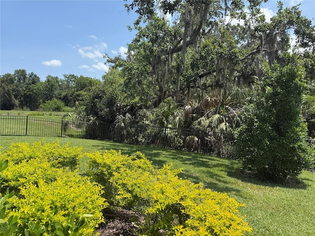 5935 Maidenstone Way, Palmetto, FL 34221 - view of yard