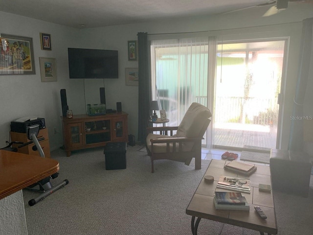 view of carpeted living room