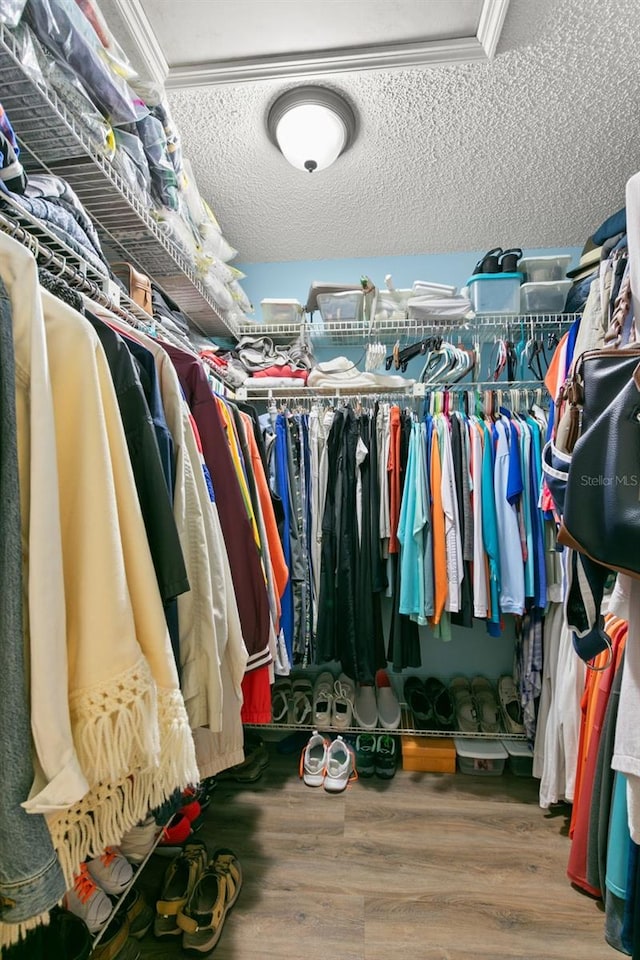 walk in closet with hardwood / wood-style floors