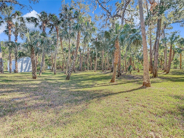 view of yard featuring a shed